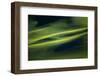 Landwriting 3-Ursula Abresch-Framed Photographic Print