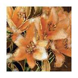 Apricot Dream I-Lane Ashfield-Framed Art Print