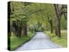 Lane at Cades Cove in the Spring in the Smoky Mountains National Park, Tennessee, Usa-Joanne Wells-Stretched Canvas