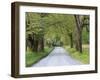 Lane at Cades Cove in the Spring in the Smoky Mountains National Park, Tennessee, Usa-Joanne Wells-Framed Photographic Print