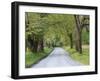 Lane at Cades Cove in the Spring in the Smoky Mountains National Park, Tennessee, Usa-Joanne Wells-Framed Photographic Print