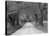 Lane at Cades Cove in the Spring in the Smoky Mountains National Park, Tennessee, Usa-Joanne Wells-Stretched Canvas