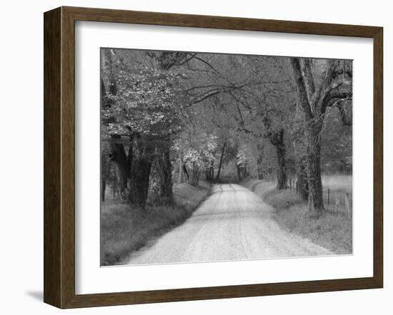 Lane at Cades Cove in the Spring in the Smoky Mountains National Park, Tennessee, Usa-Joanne Wells-Framed Photographic Print