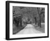 Lane at Cades Cove in the Spring in the Smoky Mountains National Park, Tennessee, Usa-Joanne Wells-Framed Photographic Print