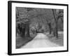 Lane at Cades Cove in the Spring in the Smoky Mountains National Park, Tennessee, Usa-Joanne Wells-Framed Photographic Print