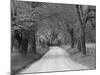 Lane at Cades Cove in the Spring in the Smoky Mountains National Park, Tennessee, Usa-Joanne Wells-Mounted Photographic Print