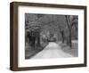 Lane at Cades Cove in the Spring in the Smoky Mountains National Park, Tennessee, Usa-Joanne Wells-Framed Photographic Print