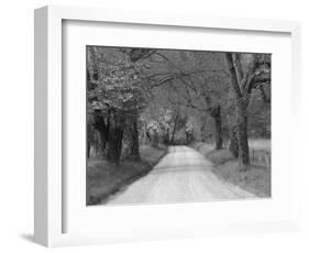 Lane at Cades Cove in the Spring in the Smoky Mountains National Park, Tennessee, Usa-Joanne Wells-Framed Photographic Print