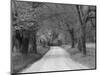 Lane at Cades Cove in the Spring in the Smoky Mountains National Park, Tennessee, Usa-Joanne Wells-Mounted Photographic Print