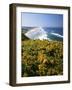 Lane County, Pacific Coast, Oregon, USA-Charles Gurche-Framed Photographic Print