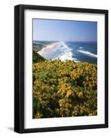 Lane County, Pacific Coast, Oregon, USA-Charles Gurche-Framed Photographic Print