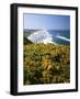 Lane County, Pacific Coast, Oregon, USA-Charles Gurche-Framed Photographic Print