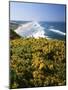 Lane County, Pacific Coast, Oregon, USA-Charles Gurche-Mounted Photographic Print