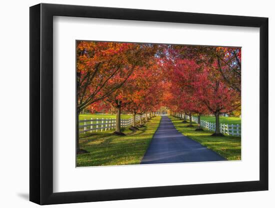 Lane in Fall-Robert Lott-Framed Art Print