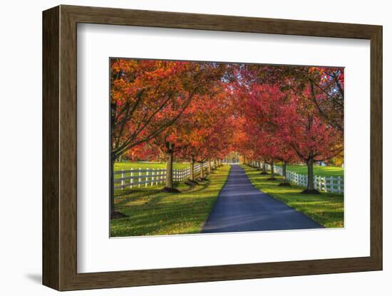 Lane in Fall-Robert Lott-Framed Art Print