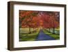 Lane in Fall-Robert Lott-Framed Art Print