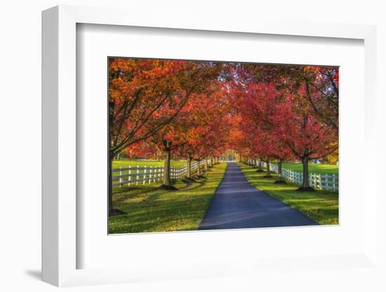 Lane in Fall-Robert Lott-Framed Art Print