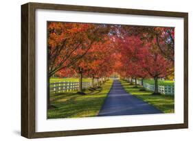 Lane in Fall-Robert Lott-Framed Art Print