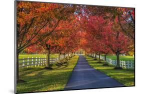 Lane in Fall-Robert Lott-Mounted Art Print