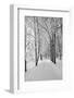 Lane in Town Park-basel101658-Framed Photographic Print