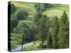 Lane Near the Polish Border, Near Zdiar, High Tatras, Slovakia-Upperhall-Stretched Canvas