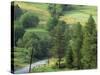 Lane Near the Polish Border, Near Zdiar, High Tatras, Slovakia-Upperhall-Stretched Canvas