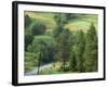 Lane Near the Polish Border, Near Zdiar, High Tatras, Slovakia-Upperhall-Framed Photographic Print