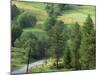 Lane Near the Polish Border, Near Zdiar, High Tatras, Slovakia-Upperhall-Mounted Photographic Print