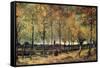Lane with Poplars-Vincent van Gogh-Framed Stretched Canvas