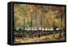 Lane with Poplars-Vincent van Gogh-Framed Stretched Canvas