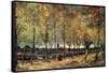 Lane with Poplars-Vincent van Gogh-Framed Stretched Canvas