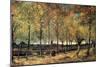 Lane with Poplars-Vincent van Gogh-Mounted Art Print