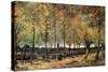 Lane with Poplars-Vincent van Gogh-Stretched Canvas