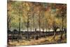 Lane with Poplars-Vincent van Gogh-Mounted Premium Giclee Print