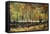 Lane with Poplars-Vincent van Gogh-Framed Stretched Canvas