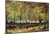 Lane with Poplars-Vincent van Gogh-Mounted Premium Giclee Print