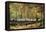 Lane with Poplars-Vincent van Gogh-Framed Stretched Canvas