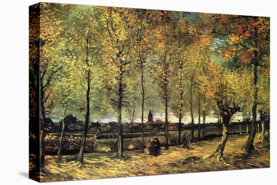Lane with Poplars-Vincent van Gogh-Stretched Canvas