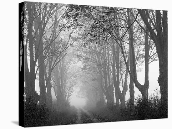 Laneway and Fog-John Bartosik-Stretched Canvas