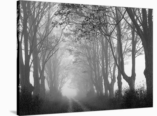 Laneway and Fog-John Bartosik-Stretched Canvas