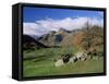 Langdale Pikes from Great Langdale, Lake District National Park, Cumbria, England-Roy Rainford-Framed Stretched Canvas