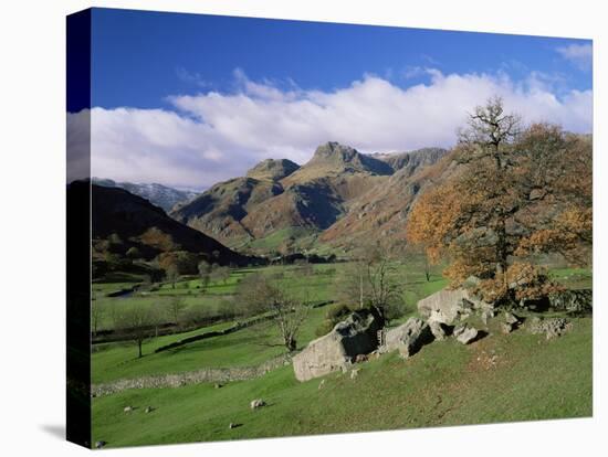 Langdale Pikes from Great Langdale, Lake District National Park, Cumbria, England-Roy Rainford-Stretched Canvas