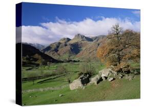 Langdale Pikes from Great Langdale, Lake District National Park, Cumbria, England-Roy Rainford-Stretched Canvas