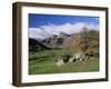 Langdale Pikes from Great Langdale, Lake District National Park, Cumbria, England-Roy Rainford-Framed Photographic Print