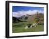 Langdale Pikes from Great Langdale, Lake District National Park, Cumbria, England-Roy Rainford-Framed Photographic Print