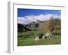 Langdale Pikes from Great Langdale, Lake District National Park, Cumbria, England-Roy Rainford-Framed Photographic Print