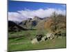 Langdale Pikes from Great Langdale, Lake District National Park, Cumbria, England-Roy Rainford-Mounted Photographic Print