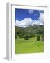 Langdale Pikes, Lake District National Park, Cumbria, England, United Kingdom, Europe-Jeremy Lightfoot-Framed Photographic Print