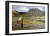 Langdale-Kirstie Adamson-Framed Giclee Print