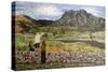 Langdale-Kirstie Adamson-Stretched Canvas